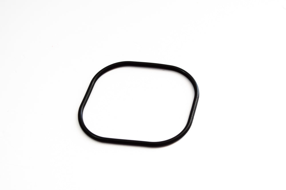 GUARNIZIONE (O-RING