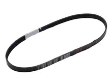 Carica l&#39;immagine nel visualizzatore di Gallery, CINGHIA POMPA ACQUA PORTER 1300