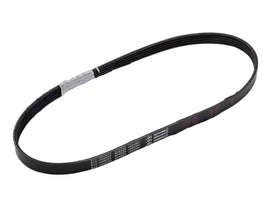 CINGHIA POMPA ACQUA PORTER 1300