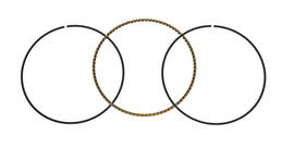 SEGMENTO RASCHIAOLIO PORTER NP6 1500