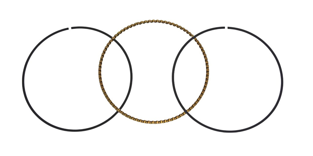 SEGMENTO RASCHIAOLIO PORTER NP6 1500