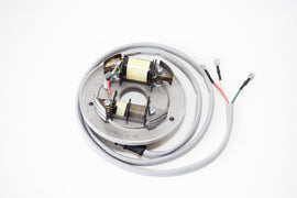 STATORE APE TM P703-P703V BENZ ORIGINALE