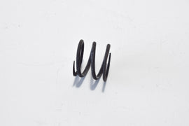 MOLLA PULEGGIA MOTRICE VESPA PK AUTOMATI