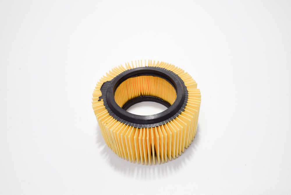 CARTUCCIA FILTRANTE         *VEDI 438014