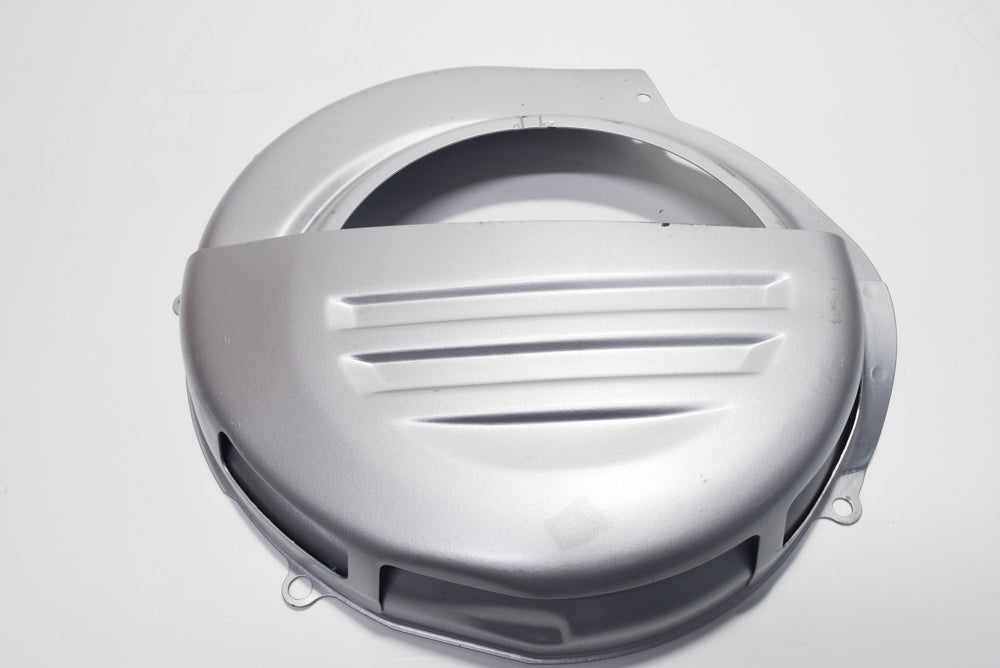 COPRIVENTOLA VESPA COSA