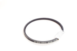 CINGHIA ALTERNATORE APE POKER BZ-DS