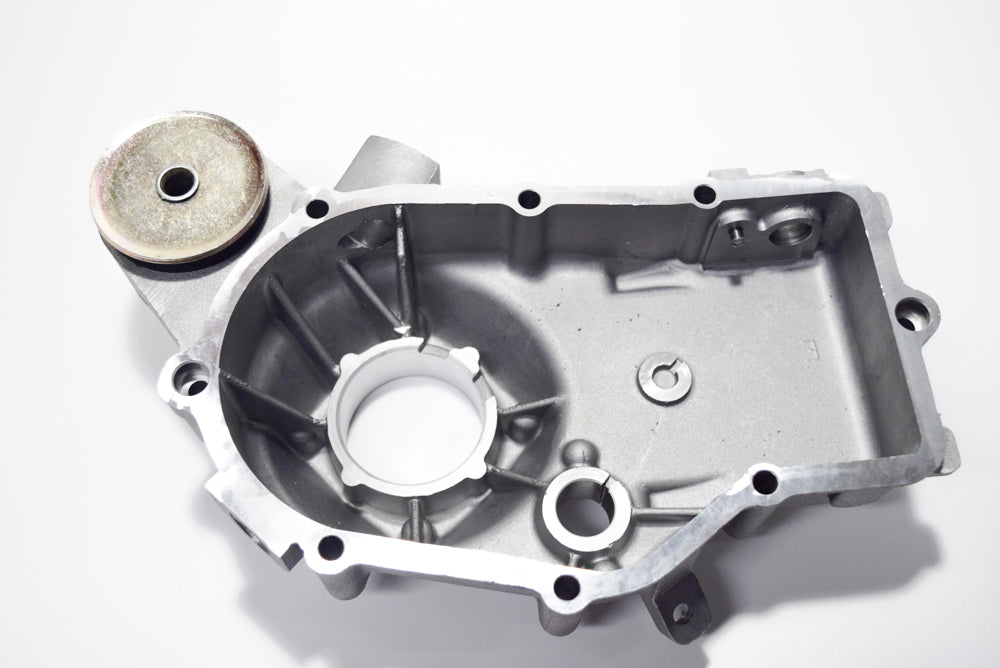 CARTER DIFFERENZIALE SX APE 50 MIX-FL