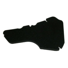 Carica l&#39;immagine nel visualizzatore di Gallery, FILTRO ARIA ET2-ET4-LIBERTY/HEXAGON 125