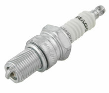 Carica l&#39;immagine nel visualizzatore di Gallery, CANDELA CHAMPION P2M