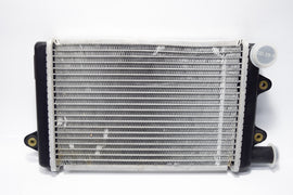 RADIATORE ACQUA CALESSINO APE TM