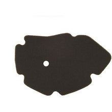 Carica l&#39;immagine nel visualizzatore di Gallery, FILTRO ARIA X9 125/X9 AMALFI 180