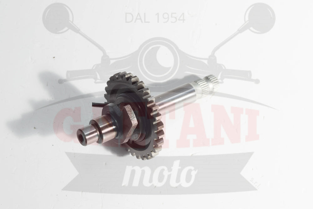 GRUPPO AVVIAMENTO A KICK COMPLETO