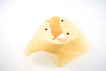 Carica l&#39;immagine nel visualizzatore di Gallery, PARAFANGO ANT ZIP FAST RAIDER 50 93-94