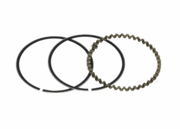 SEGMENTO RASCHIAOLIO