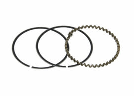 SEGMENTO RASCHIAOLIO