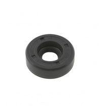 Carica l&#39;immagine nel visualizzatore di Gallery, PARAOLIO 10X22X7 POMPA ACQUA SCARABEO