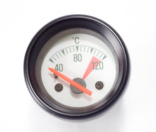 Carica l&#39;immagine nel visualizzatore di Gallery, TERMOMETRO ACQUA