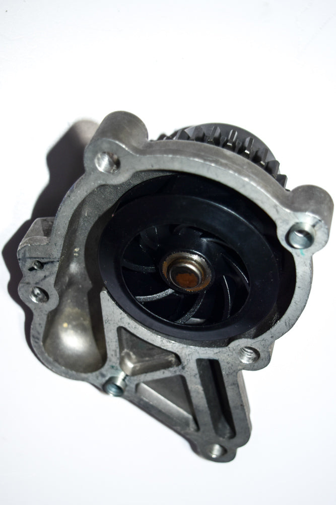 POMPA ACQUA PORTER 1200