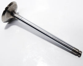 VALVOLA ASPIRAZIONE APE TM DIESEL LCS