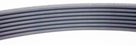 CINGHIA PJ813 A 7 NERVATURE