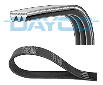 CINGHIA SERVIZI POLY-V 3 X 788