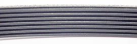 CINGHIA PJ1473  A 7 NERVATURE