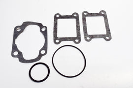 SERIE GUAR. MINARELLI RV4 H2O CIL. IN GH