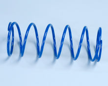 Carica l&#39;immagine nel visualizzatore di Gallery, MOLLA DI CONTRASTO RUNNER 125/180