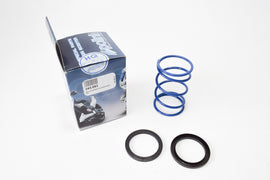 MOLLA CONTRASTO EVO-SLIDER PIAGGIO D.4.1