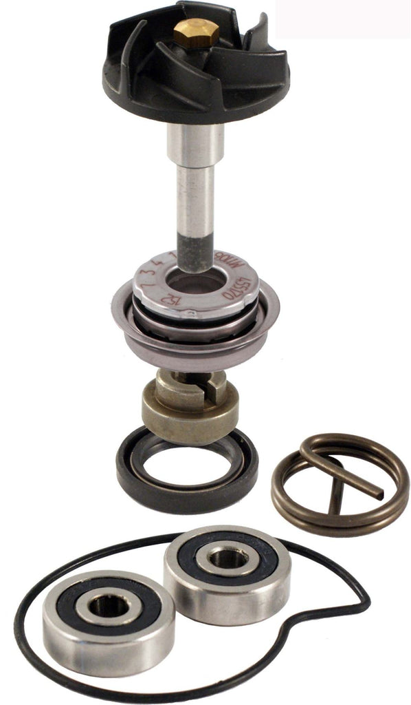 KIT REVISIONE POMPA ACQU BEVERLY 250-300