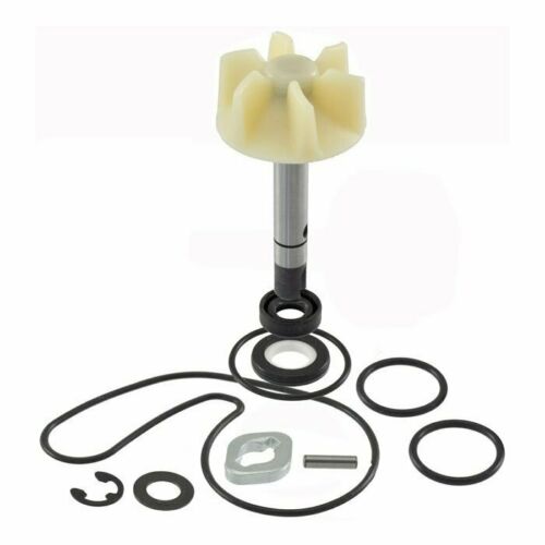 KIT REVISIONE POMPA ACQUA BURGMAN 400
