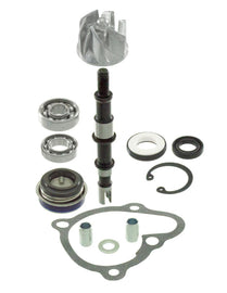 KIT REVISIONE POMPA ACQUA X-CITING 250