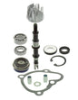 KIT REVISIONE POMPA ACQUA X-CITING 250