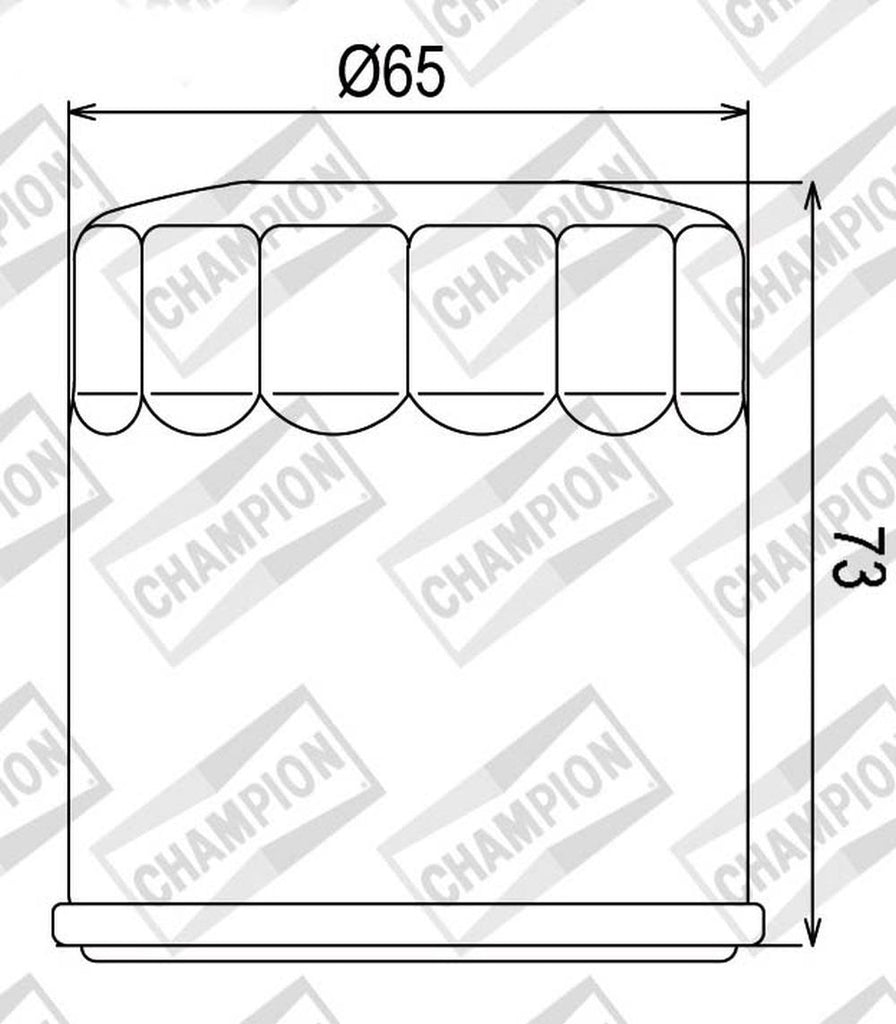 FILTRO OLIO COF077 BUELL 900-1200CC