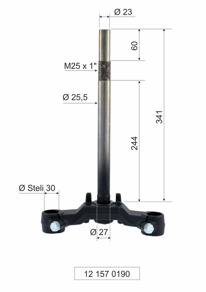 TESTA FORCELLA BOOSTER NG 50CC