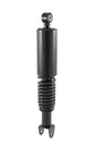 AMMORTIZZATORE POST SCARABEO 4T 100