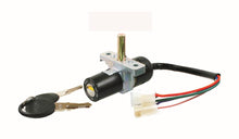 Carica l'immagine nel visualizzatore di Gallery, QUADRO CHIAVE SCARABEO 8201846