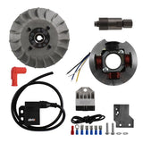 246365001 - ACCENSIONE ELETTRONICA VESPA PK 50-125 CONO DIAMETRO 20 CON ANTICIPO VARIABILE