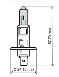 LAMPADA 12V-55W H1 OMOL. BIANCA