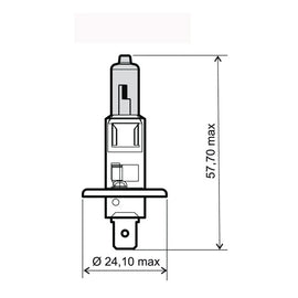 LAMPADA 12V-55W H1 OMOLOGATA