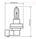 Lampadina bianca H8 12V 35W