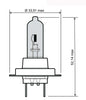 LAMPADA BLU H7 12V 55W