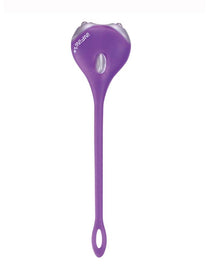 FAN.ANT.AMUSE 2WHITE LED VIO