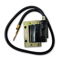 Carica l&#39;immagine nel visualizzatore di Gallery, BOBINA AT ESTERNA PIAGGIO VESPA 50 SPECI