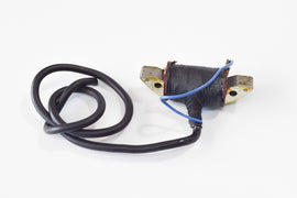 BOBINA AT USCITA CENTRALE ADAT.DUCATI