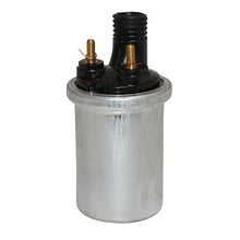 Carica l&#39;immagine nel visualizzatore di Gallery, BOBINA AT ESTERNA 6V-C.C. BOTTIGLIA TIPO