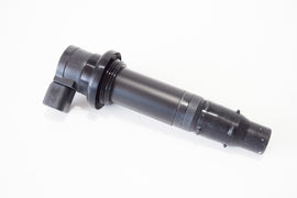 BOBINA YZF-R1 1000 2002-2006