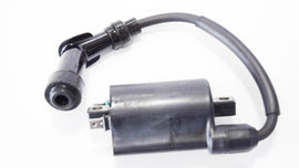 BOBINA ALTA TENS KYMCO GRAN DINK 250