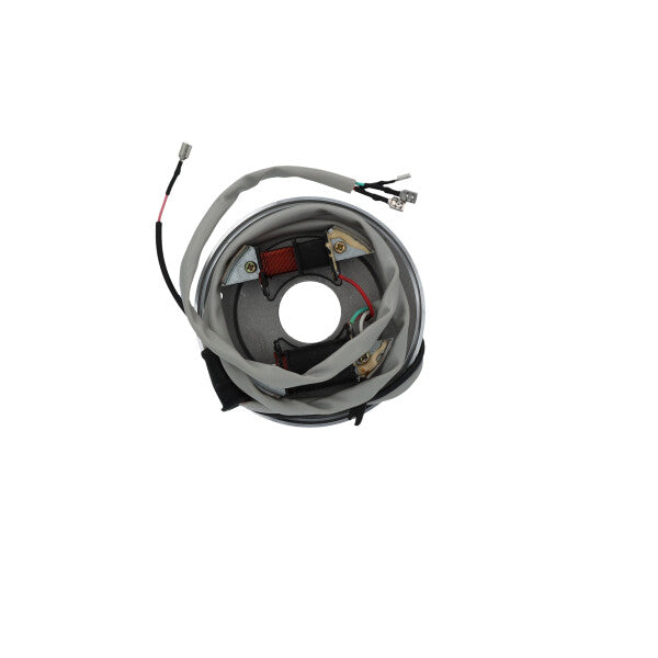 STATORE APE CAR P2/P3 -APE MP P501/P601