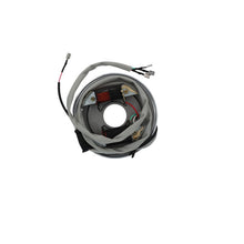 Carica l&#39;immagine nel visualizzatore di Gallery, STATORE APE CAR P2/P3 -APE MP P501/P601